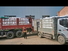 Modificateur d'impact en PVC pour tuyaux en PVC en polyéthylène chloré CPE 135A poudre blanche